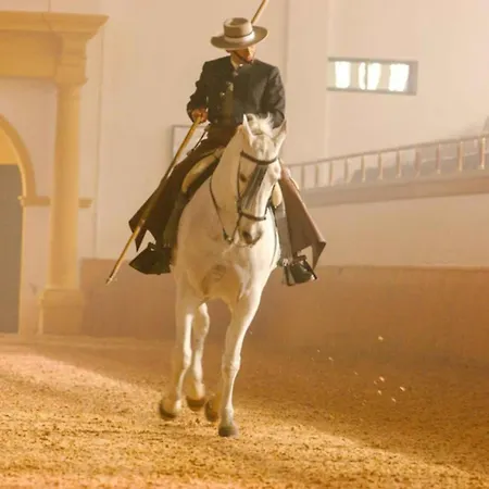 La Venencia Ii * Jerez de la Frontera