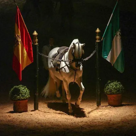 Appartamento La Venencia Ii *
